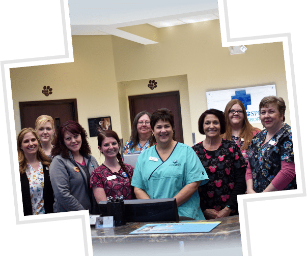 Group picture of staff at our animal hospital